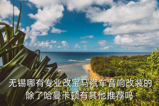  无锡哪有专业改宝马汽车音响改装的除了哈曼卡顿有其他推荐吗