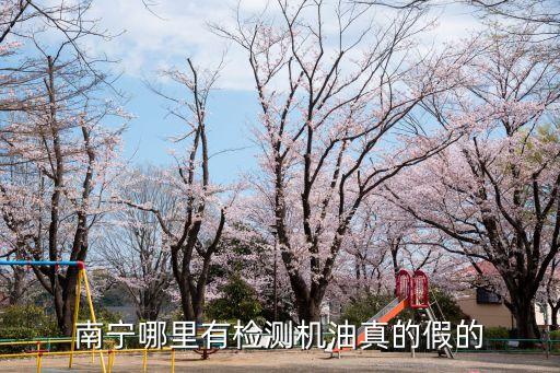 南宁哪里有检测机油真的假的