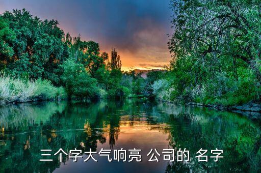  三个字大气响亮 公司的 名字