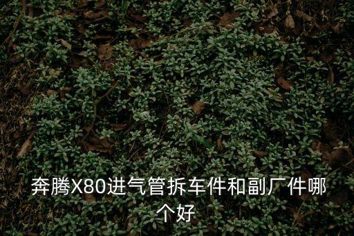  奔腾X80进气管拆车件和副厂件哪个好