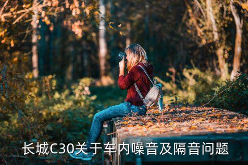 长城c30方向机密封圈是什么型号