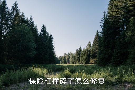 保险杠撞碎了怎么修复