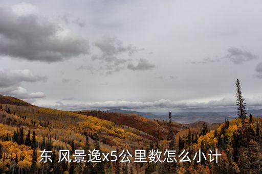 东 风景逸x5公里数怎么小计