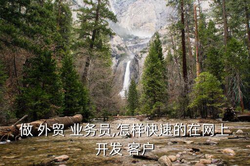 做 外贸 业务员,怎样快速的在网上开发 客户