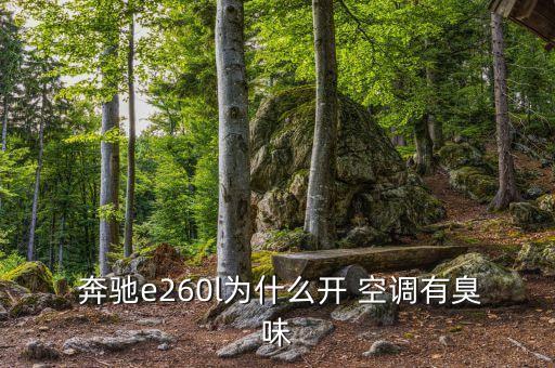  奔驰e260l为什么开 空调有臭味