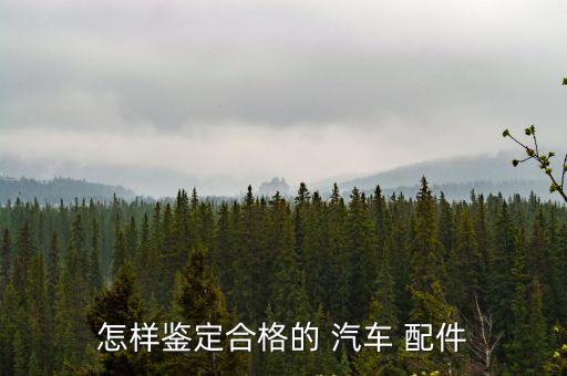 怎样鉴定合格的 汽车 配件