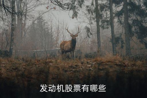 发动机股票有哪些