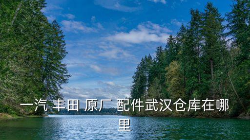 一汽 丰田 原厂 配件武汉仓库在哪里