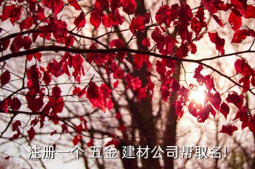 注册一个 五金 建材公司帮取名!