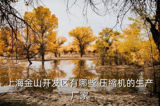 上海金山开发区有哪些 压缩机的生产厂家