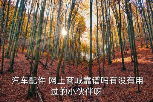  汽车配件 网上商城靠谱吗有没有用过的小伙伴呀