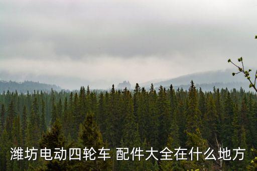 潍坊电动四轮车 配件大全在什么地方
