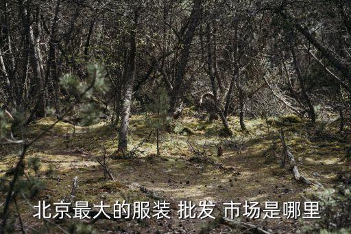  北京最大的服装 批发 市场是哪里