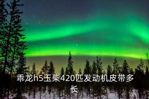  乖龙h5玉柴420匹发动机皮带多长