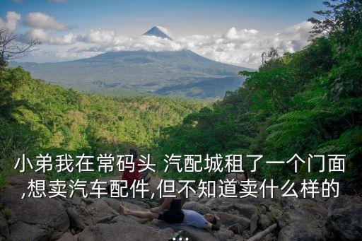 小弟我在常码头 汽配城租了一个门面,想卖汽车配件,但不知道卖什么样的...