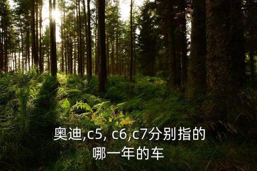  奥迪,c5, c6,c7分别指的哪一年的车