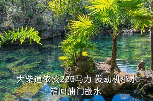 大柴道依茨220马力 发动机小水箱回油门翻水