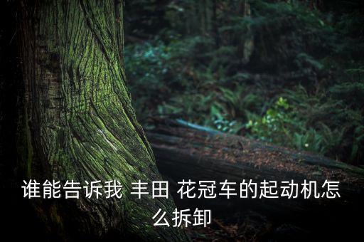 谁能告诉我 丰田 花冠车的起动机怎么拆卸