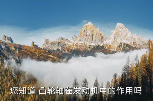 您知道 凸轮轴在发动机中的作用吗