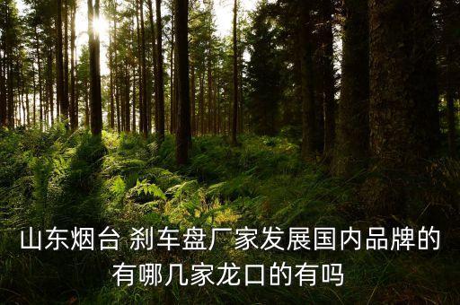 山东烟台 刹车盘厂家发展国内品牌的有哪几家龙口的有吗