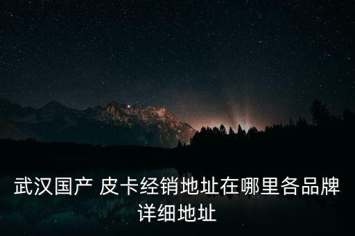 黄海皮卡配件店