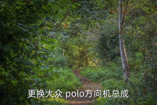 更换大众 polo方向机总成