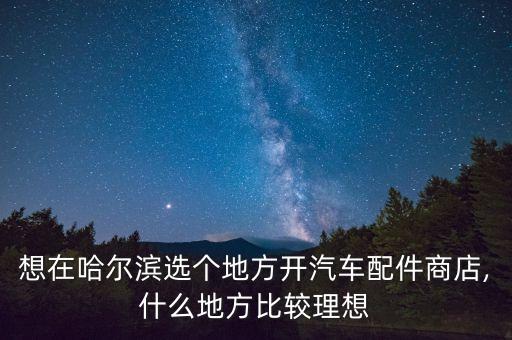 想在哈尔滨选个地方开汽车配件商店,什么地方比较理想