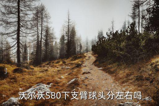  沃尔沃S80下支臂球头分左右吗