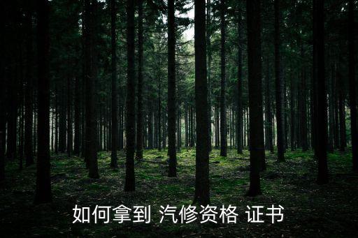 如何拿到 汽修资格 证书