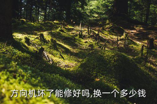 方向机坏了能修好吗,换一个多少钱
