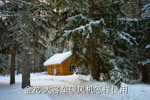 金龙大客车水箱是多少升