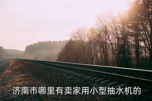  济南市哪里有卖家用小型抽水机的