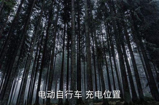 电动自行车 充电位置
