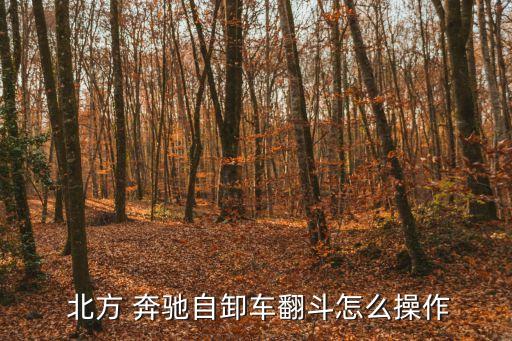  北方 奔驰自卸车翻斗怎么操作