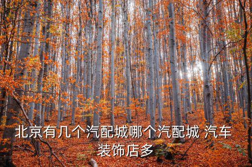 北京有几个汽配城哪个汽配城 汽车 装饰店多