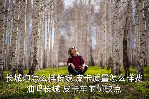 长城炮怎么样长城 皮卡质量怎么样费油吗长城 皮卡车的优缺点