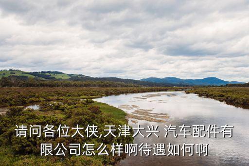 请问各位大侠,天津大兴 汽车配件有限公司怎么样啊待遇如何啊