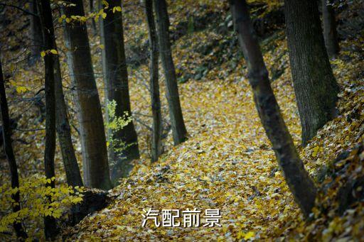 汽配前景