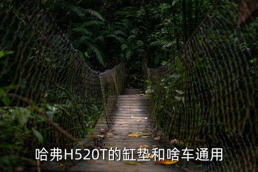哈弗H520T的缸垫和啥车通用