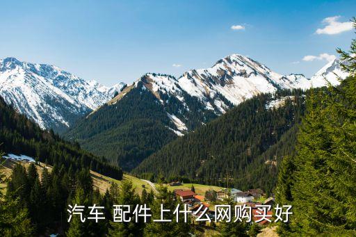  汽车 配件上什么网购买好