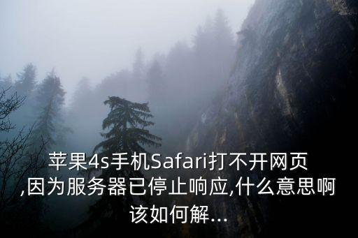 苹果4s手机Safari打不开网页,因为服务器已停止响应,什么意思啊该如何解...