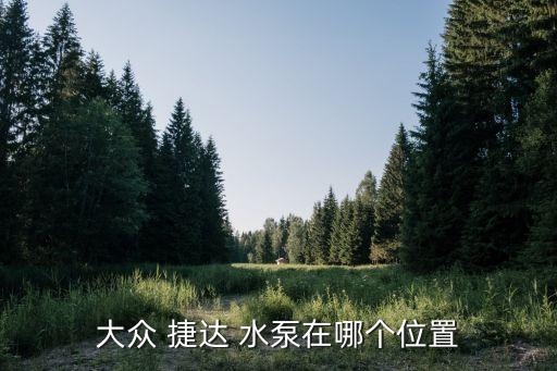 大众 捷达 水泵在哪个位置