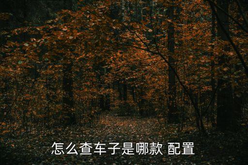 怎么查车子是哪款 配置