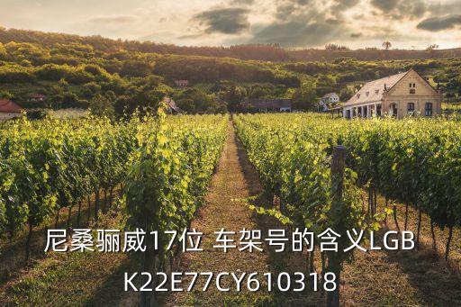尼桑骊威17位 车架号的含义LGBK22E77CY610318