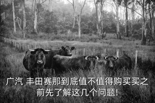 广汽 丰田赛那到底值不值得购买买之前先了解这几个问题!