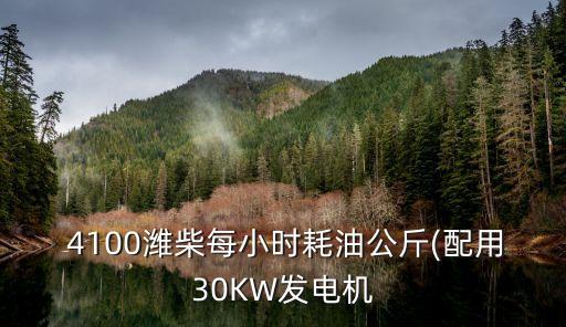  4100潍柴每小时耗油公斤(配用30KW发电机