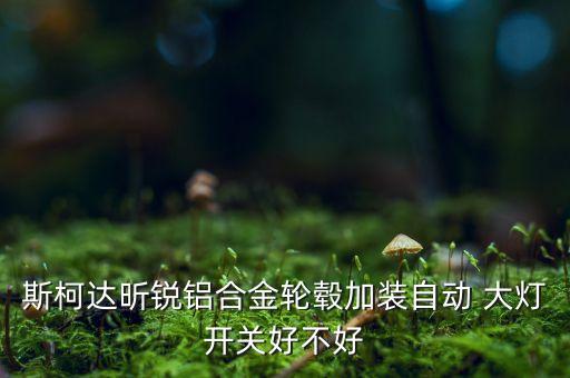 斯柯达昕锐铝合金轮毂加装自动 大灯开关好不好