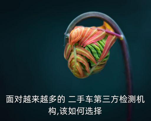面对越来越多的 二手车第三方检测机构,该如何选择