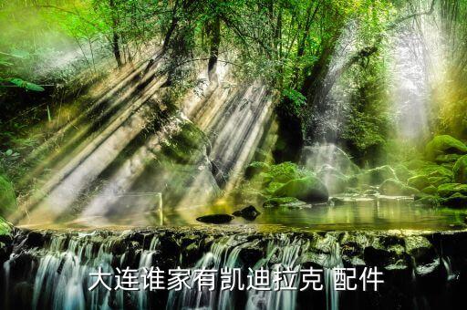 大连谁家有凯迪拉克 配件