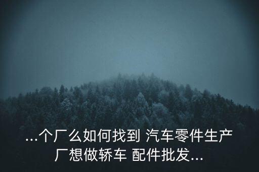 ...个厂么如何找到 汽车零件生产厂想做轿车 配件批发...